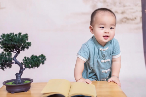 宣汉可爱的企鹅宝宝